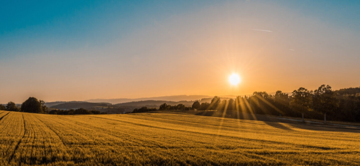 16_Reguli_noi_pentru_vanzarea_terenurilor_agricole_din_extravilan