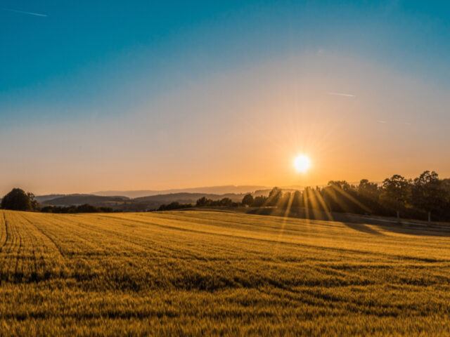 16_Reguli_noi_pentru_vanzarea_terenurilor_agricole_din_extravilan