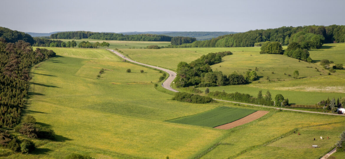 24_Scoaterea_unui_teren_din_circuitul_agricol_aflat_în_extravilan