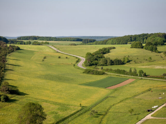 24_Scoaterea_unui_teren_din_circuitul_agricol_aflat_în_extravilan
