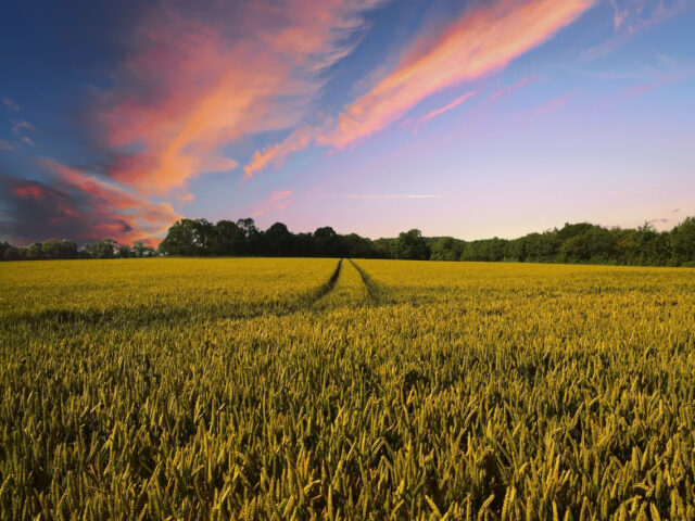 68_Reguli_vanzare_terenuri_agricole_extravilan