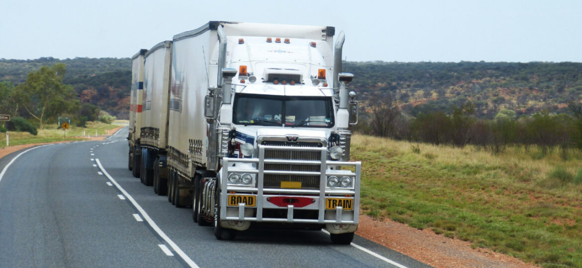 80_Diurna_soferi_transport_in_strainatate