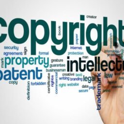 125_Cesiunea_drepturilor_patrimoniale_de_autor